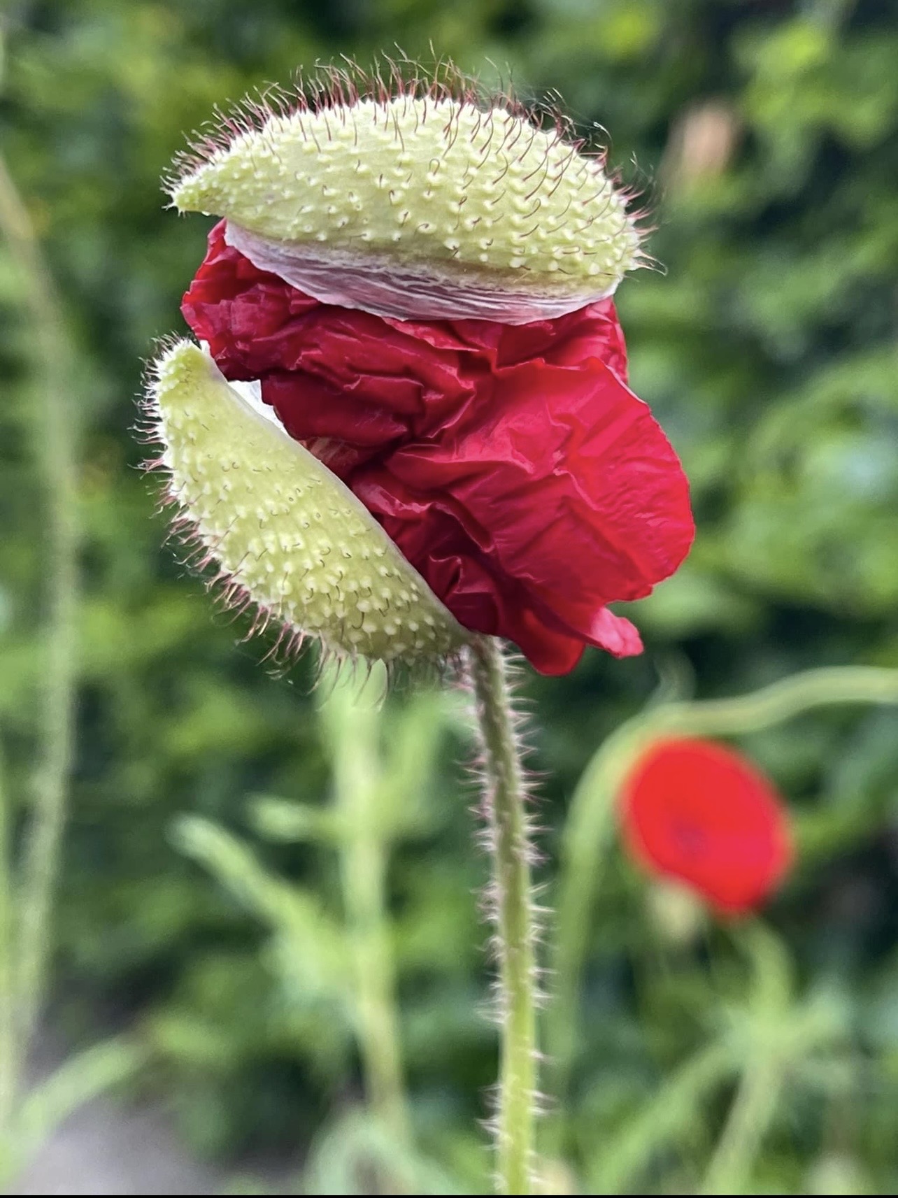Zen.nl, Zen, meditatie, leren mediteren, foto